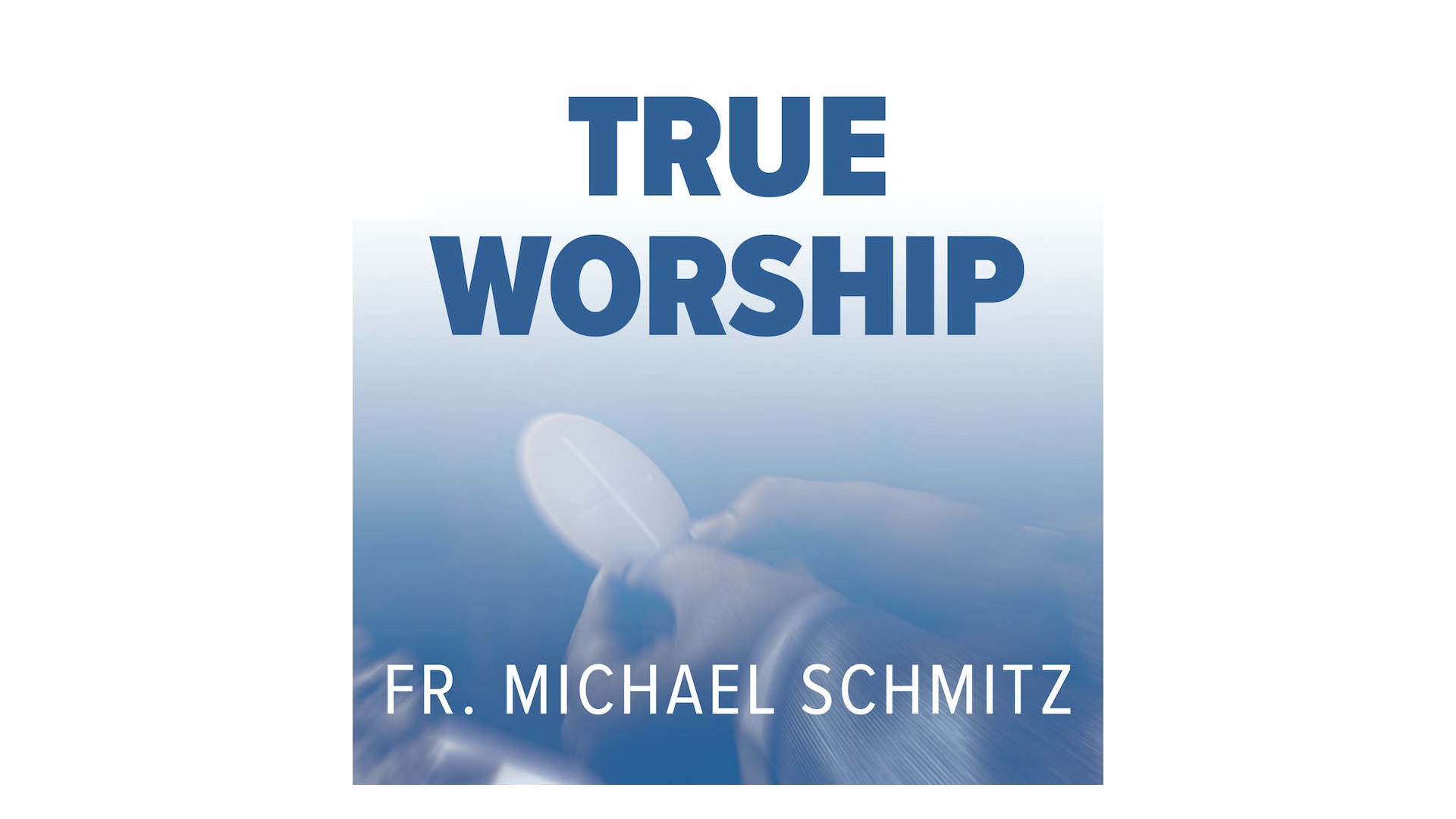 True Worship by Fr. Mike Schmitz