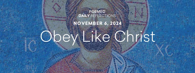 Daily Reflections – November 6, 2024