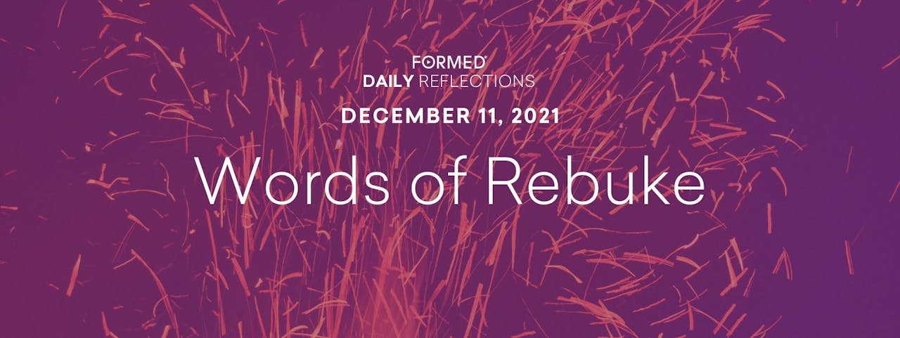 daily-reflections-december-11-2021-formed