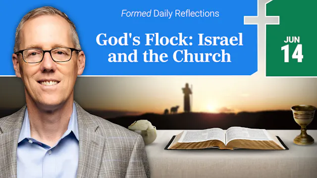 Daily Reflections — June 14, 2026