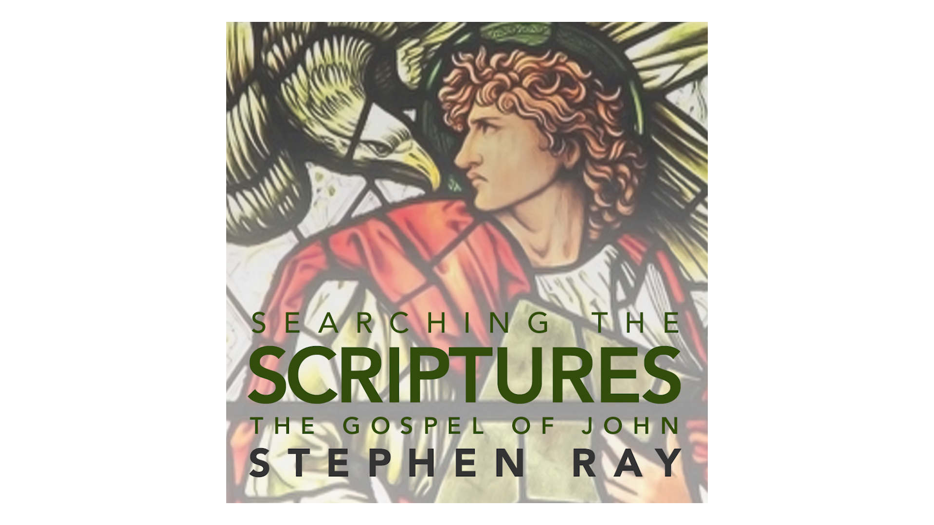 Searching the Scriptures: The Gospel of John by Stephen Ray