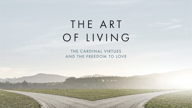Art of Living | Trailer
