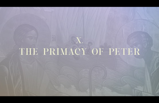 Station 10 | Via Lucis Commentary | The Primacy of Peter