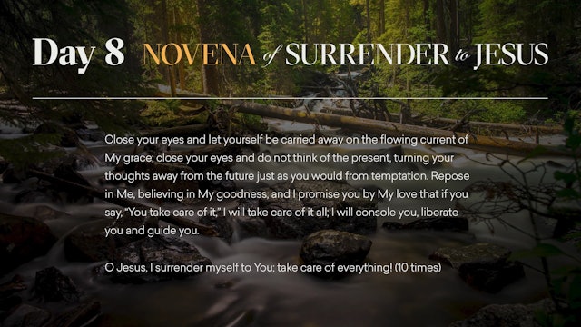 Day 8 - Novena of Surrender to Jesus