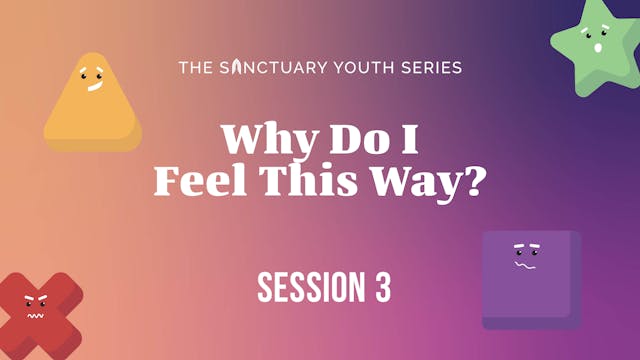 Session Three: Why Do I Feel This Way?