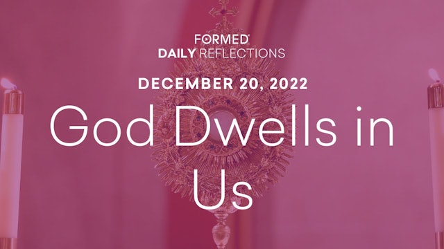 Daily Reflections – December 20, 2022