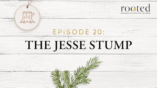 The Jesse Stump | Rooted | Episode 20