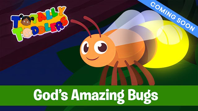 God’s Amazing Bugs | Totally Toddlers...
