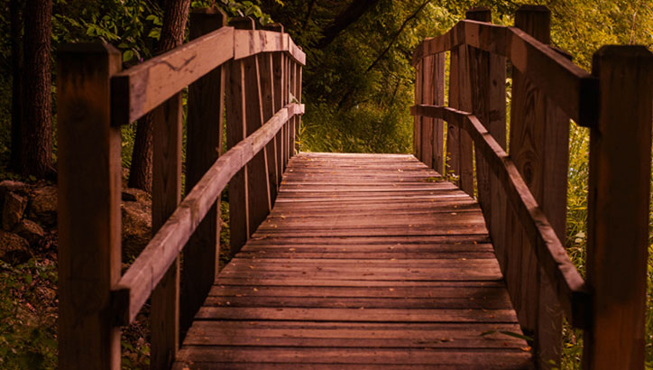 Choosing to Move Forward