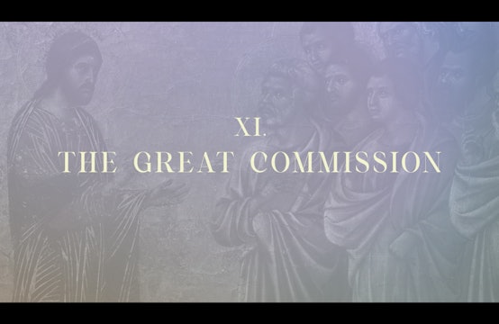 Station 11 | Via Lucis Commentary | The Great Commission