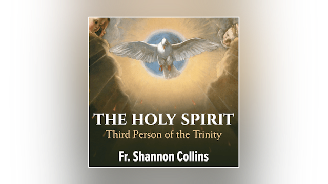 The Holy Spirit: Third Person of the Trinity by Fr. Shannon Collins