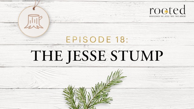 The Jesse Stump | Rooted | Episode 18