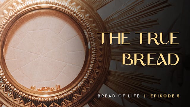 The True Bread | Bread of Life | Epis...