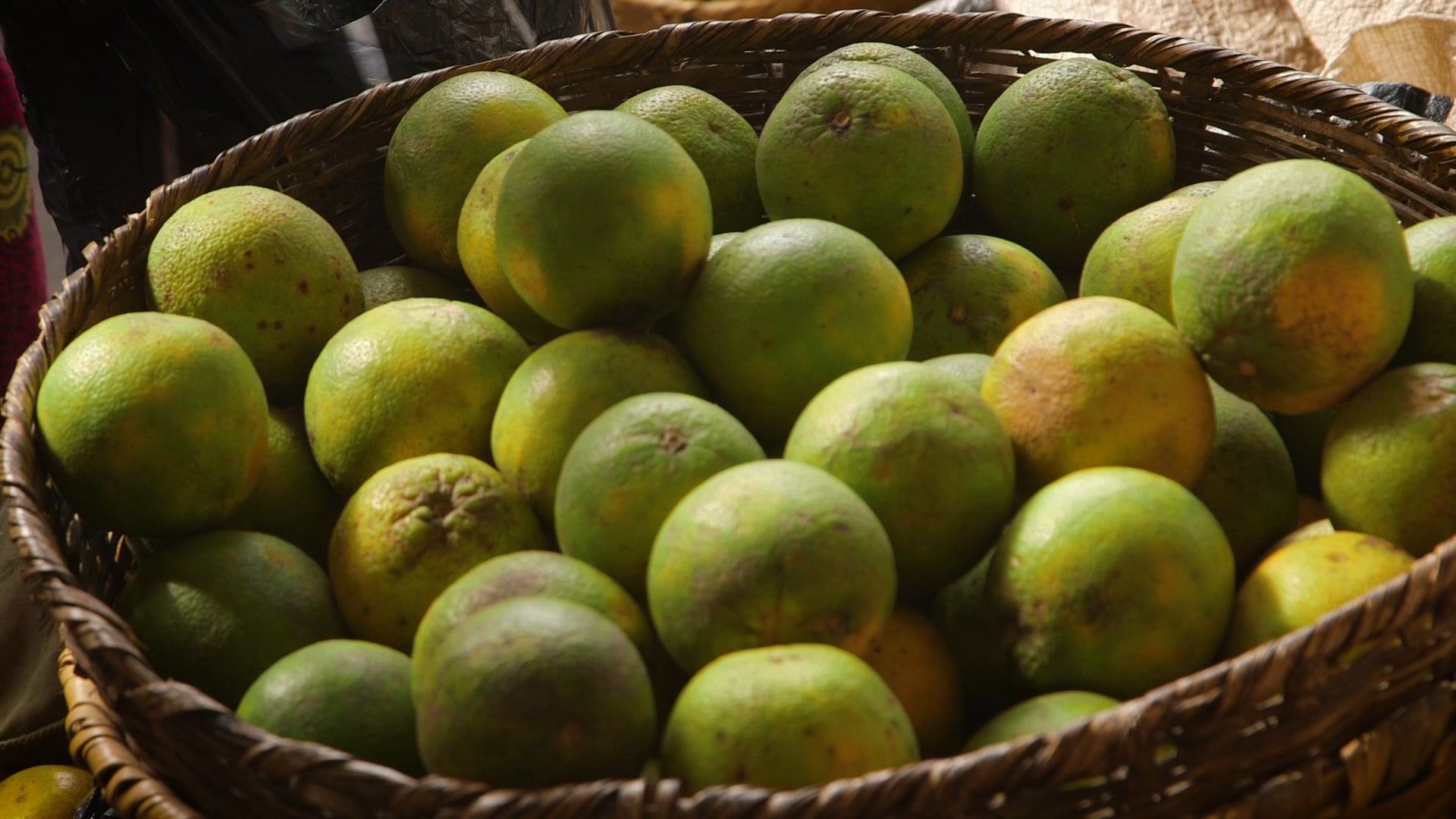 La dignidad del trabajo y los derechos de los trabajadores