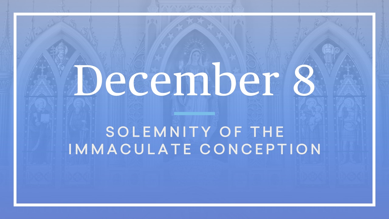 December 8 — The Solemnity of the Immaculate Conception - Formed