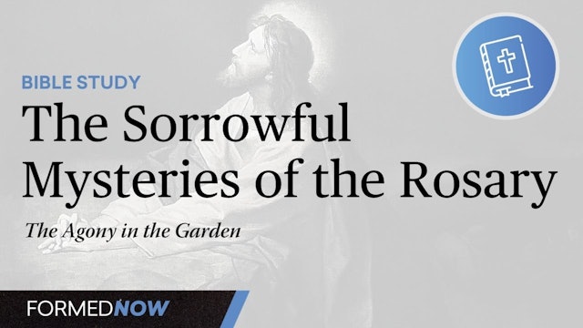 Bible Study on the Sorrowful Mysteries: The Agony in the Garden