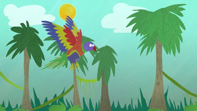 Birds