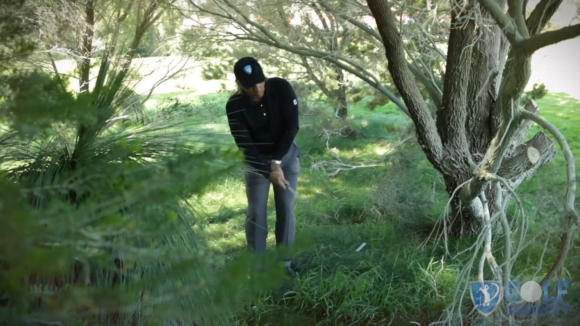 How To Play a Knockdown Shot Out of Trees