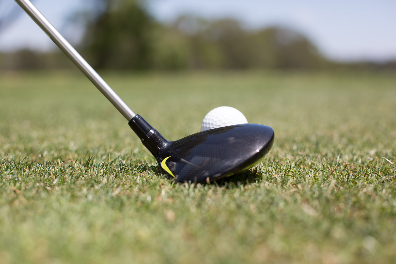 Woods and Hybrids Mastery Program