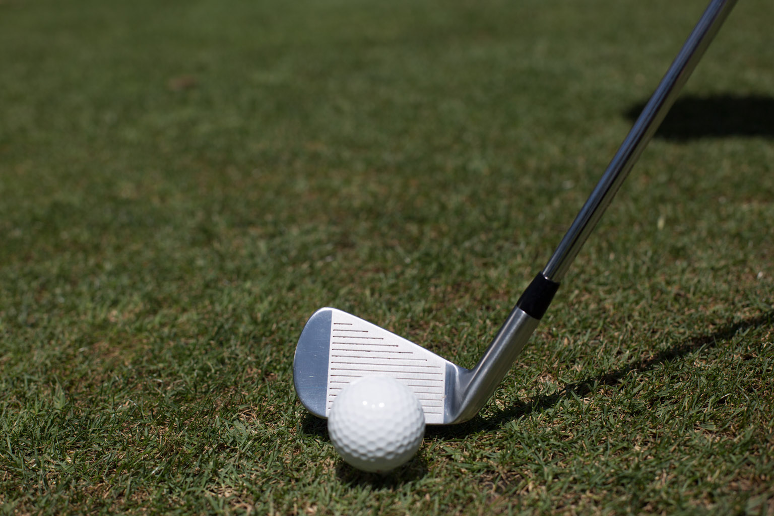 Iron Mastery Program