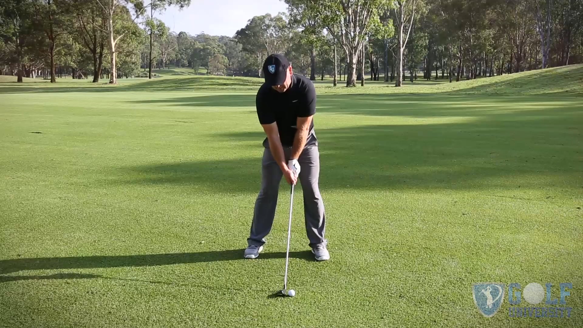 How To Slice the Wood or Hybrid