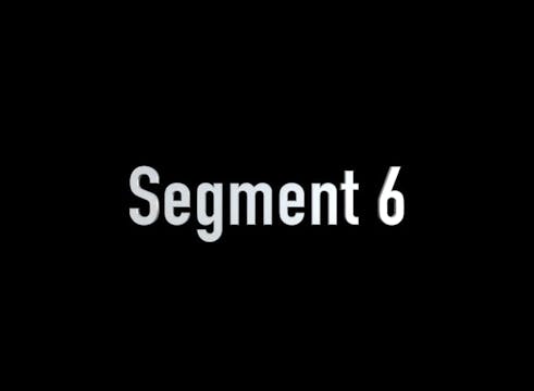 SEGMENT 6 - Perseverance & Commitment