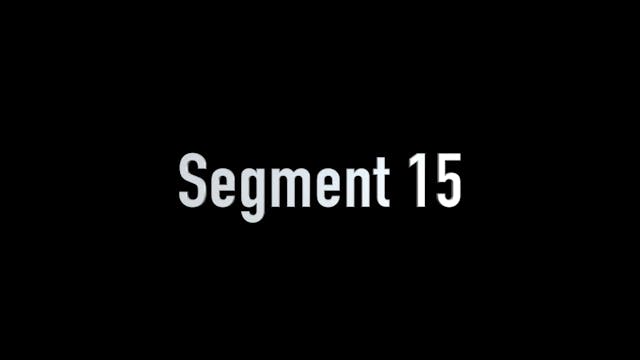 SEGMENT 15 - Becoming a Professional Actor