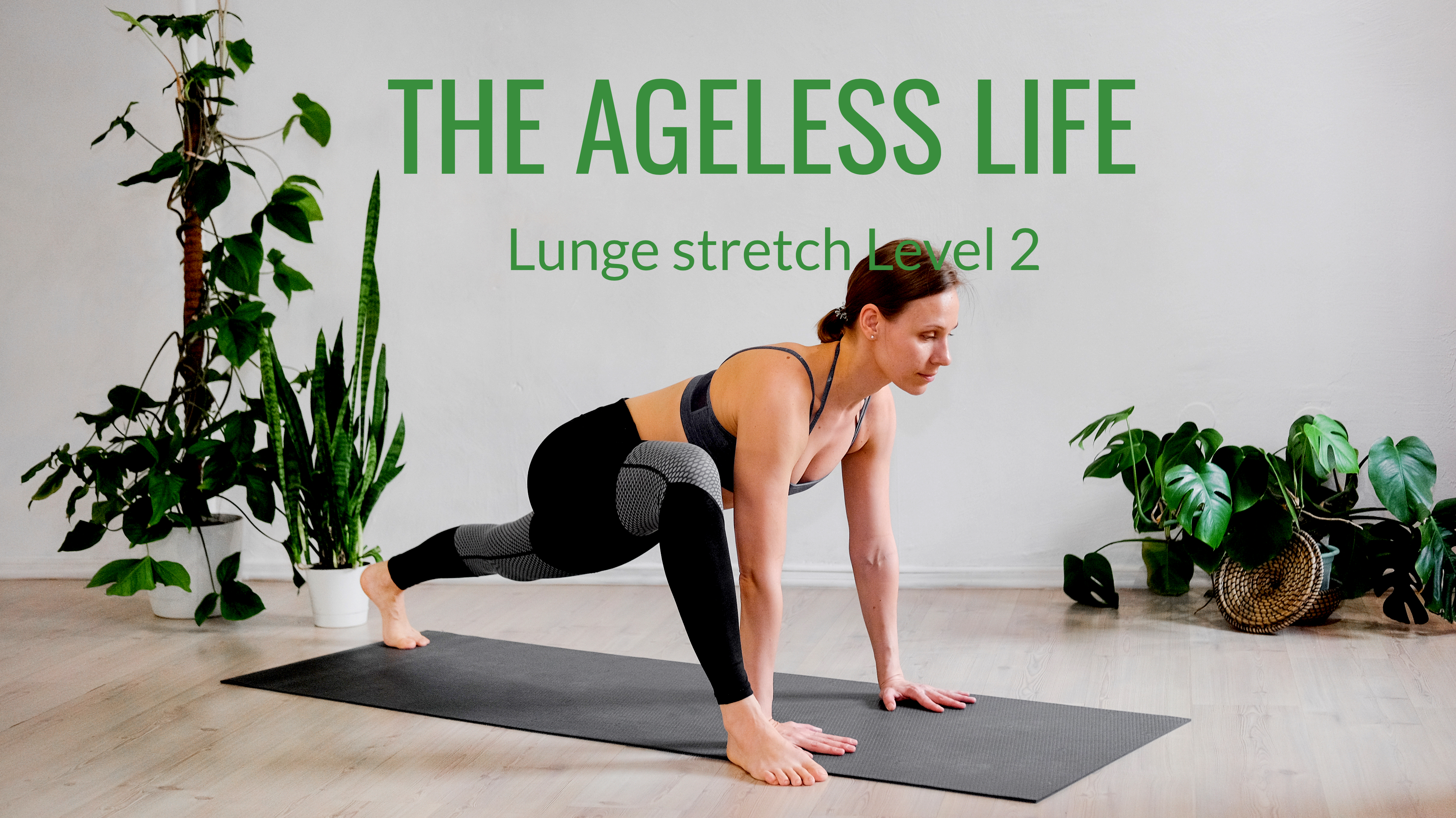 THE AGELESS LIFE Video