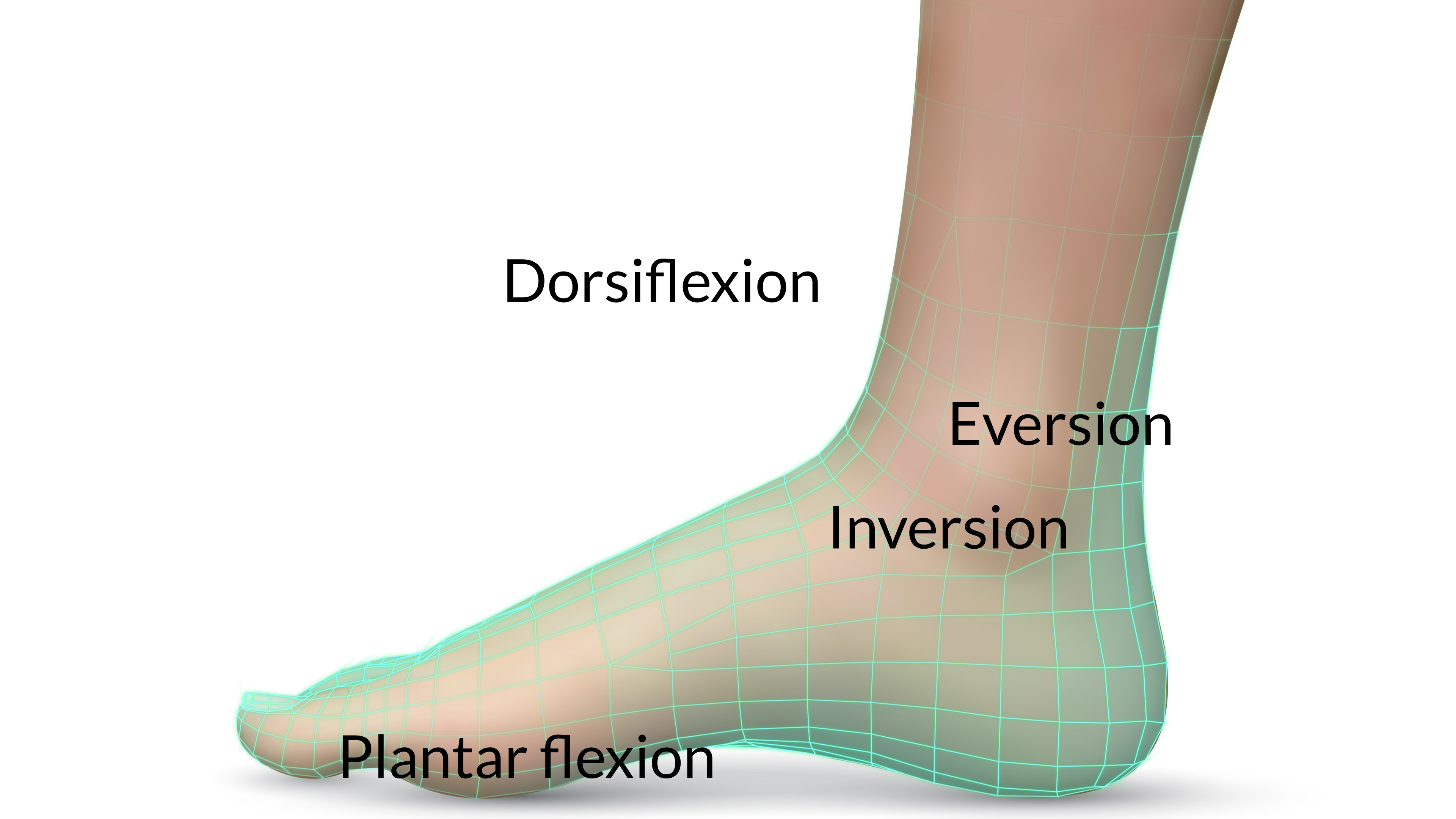 THE AGELESS LIFE Video