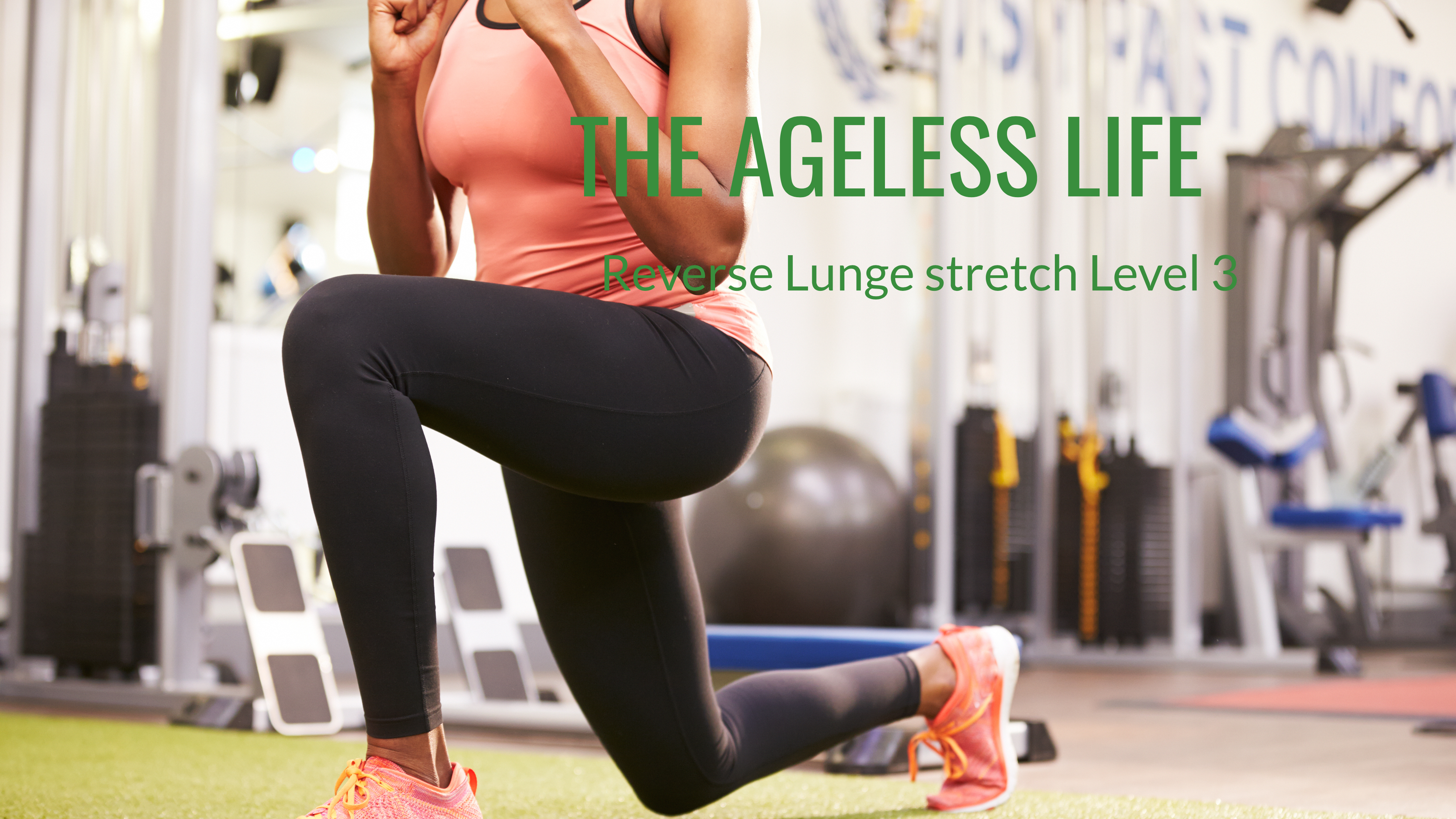 THE AGELESS LIFE Video