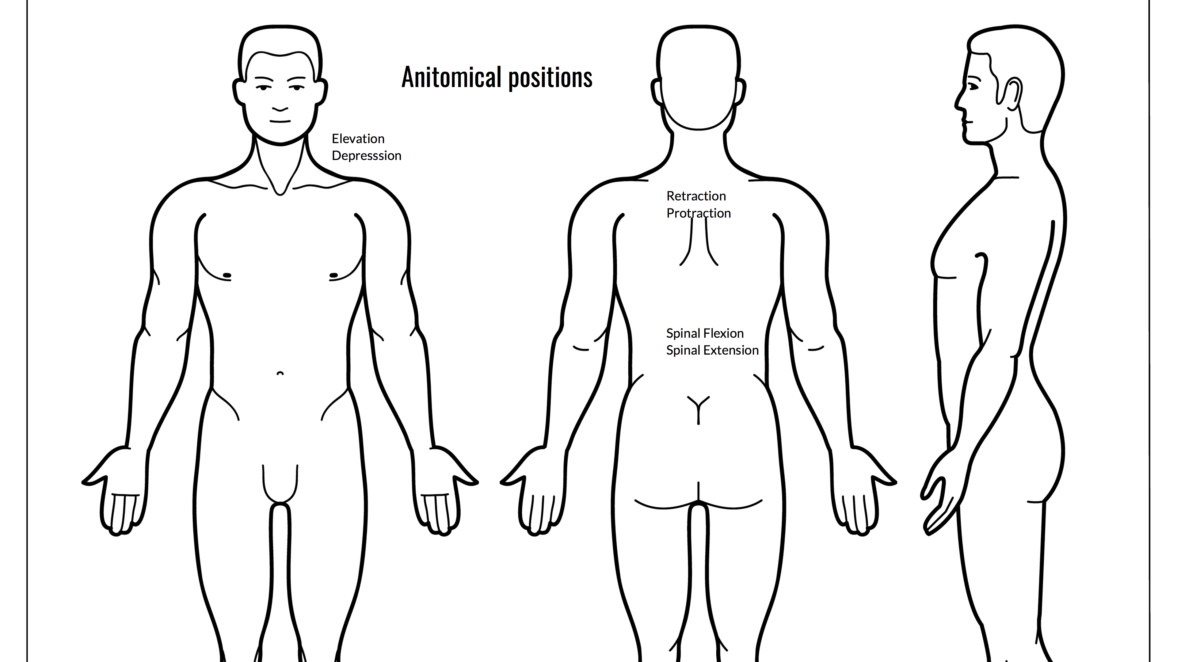 THE AGELESS LIFE Video