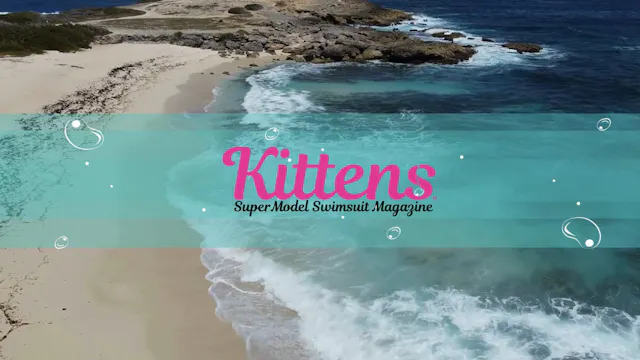 Kittens SuperModel Swimsuit Magazine ...