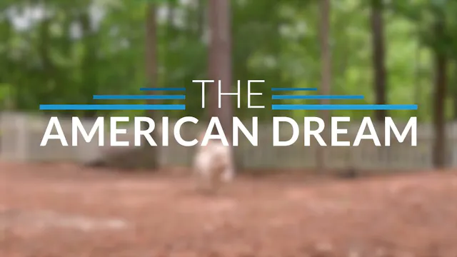 The American Dream TV: Georgia