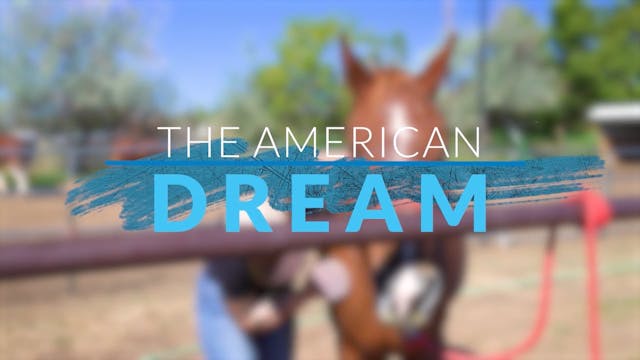  The American Dream TV: Colorado