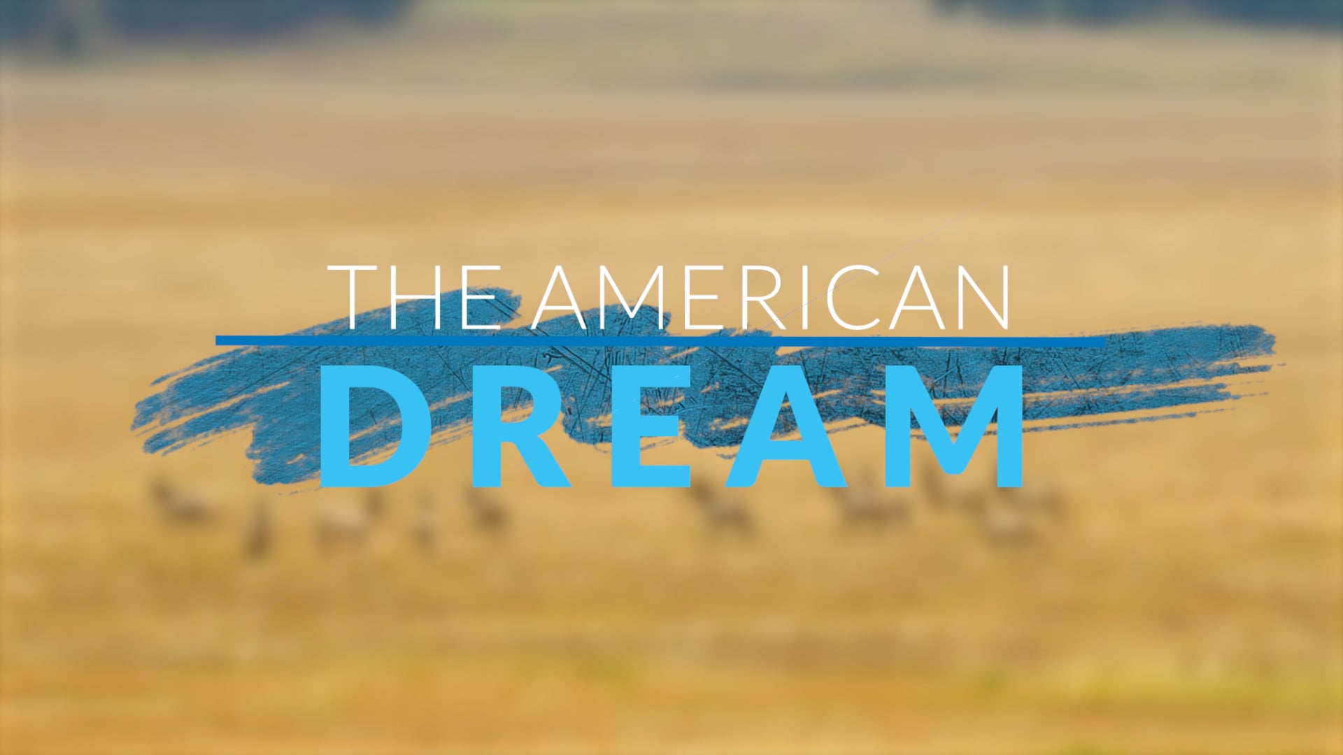 The American Dream TV: Best Of