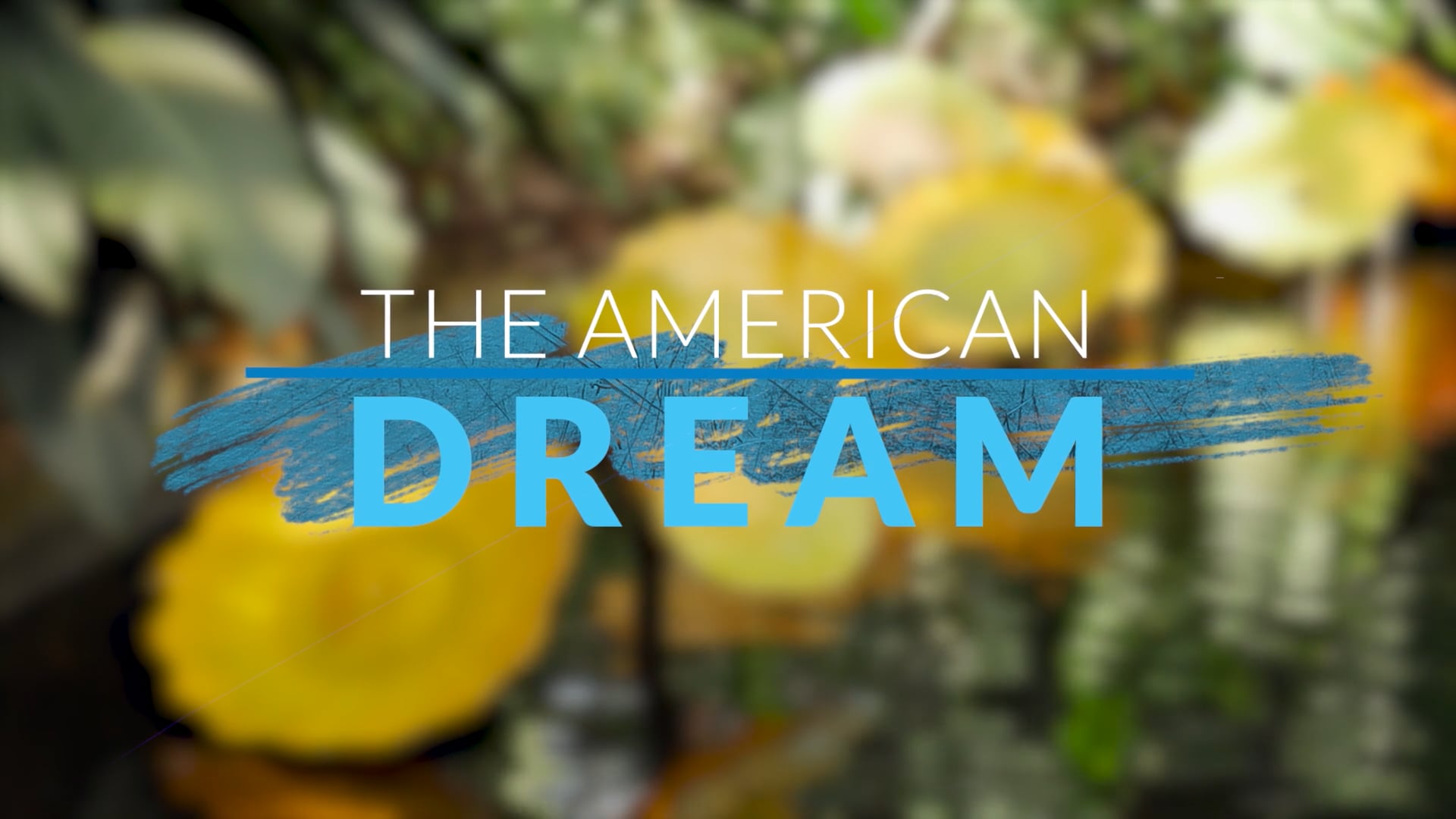 The American Dream TV: Best Of