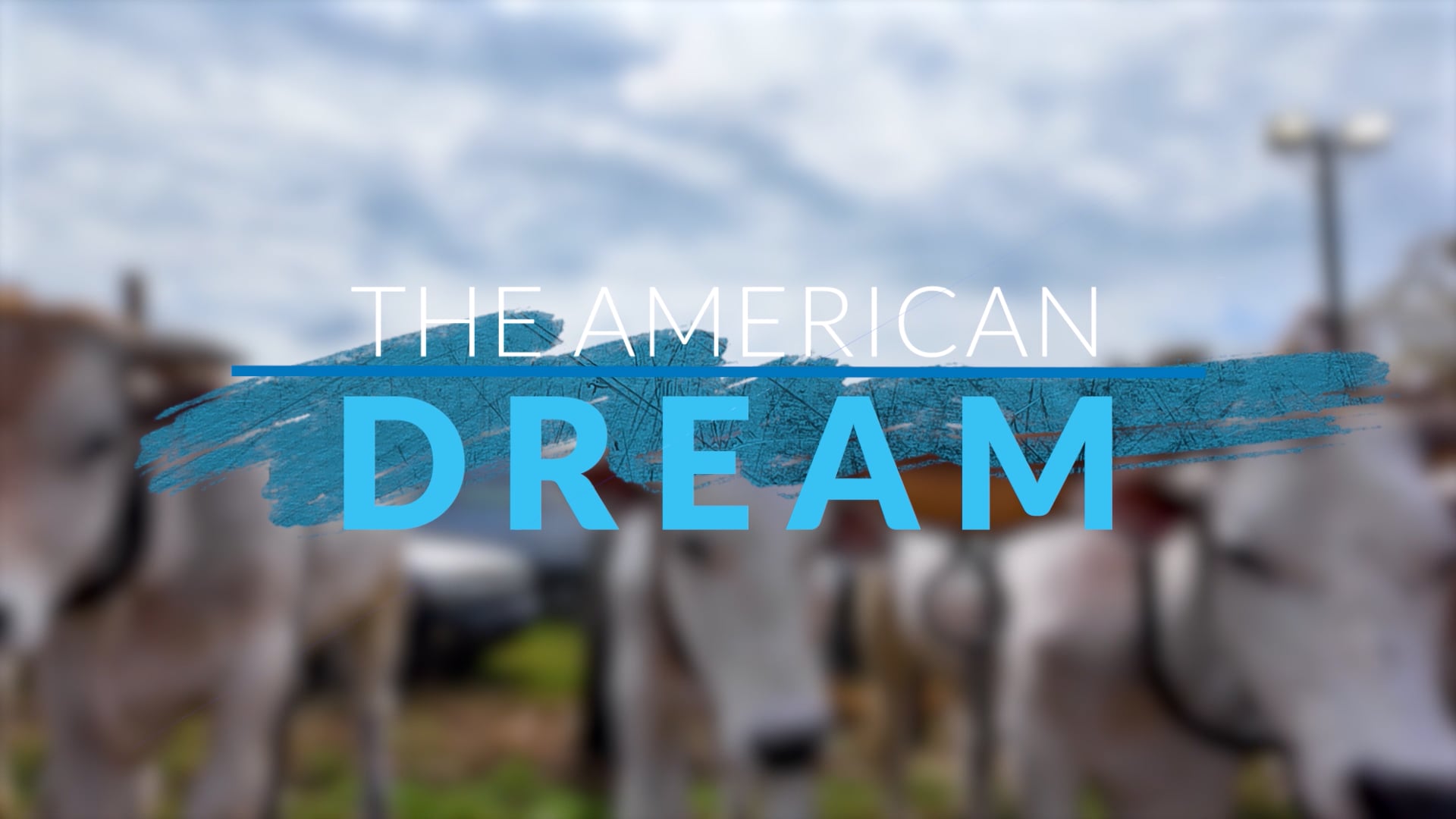  The American Dream TV: Connecticut
