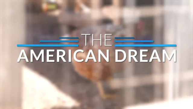The American Dream TV: Arizona