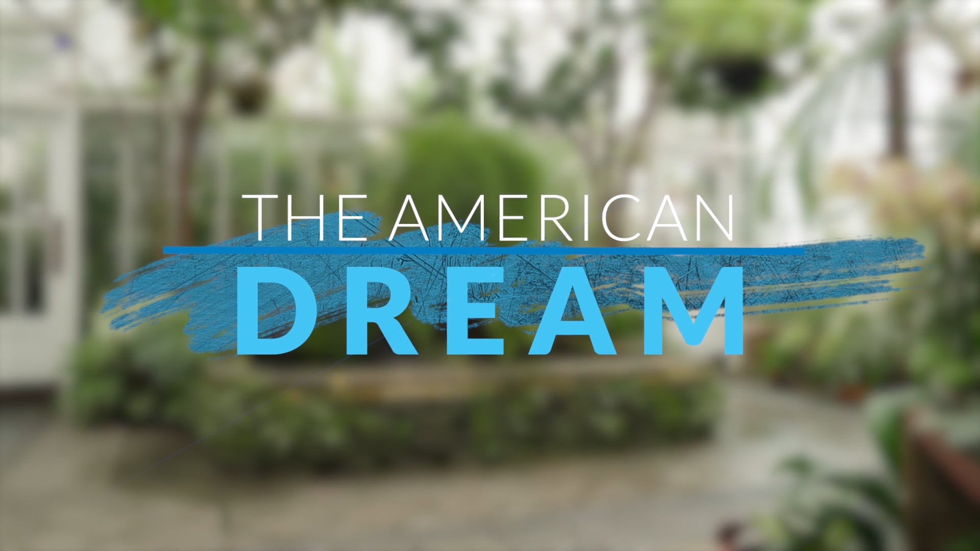  The American Dream TV: Northern California