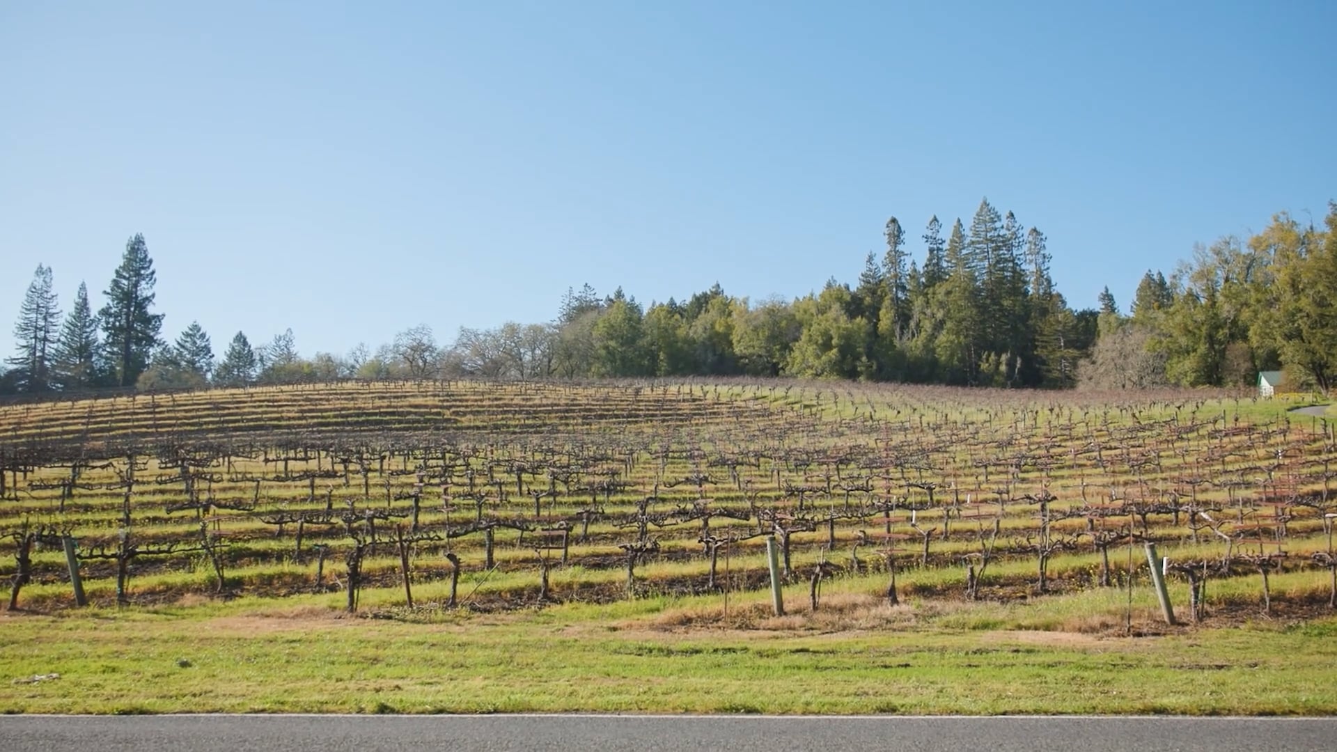 The Haute Sheet: Episode 1