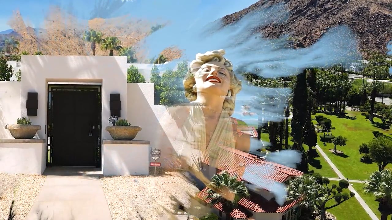 Chasing Palms: Episode 1