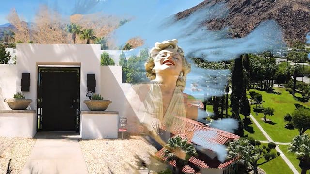 Chasing Palms: Episode 1