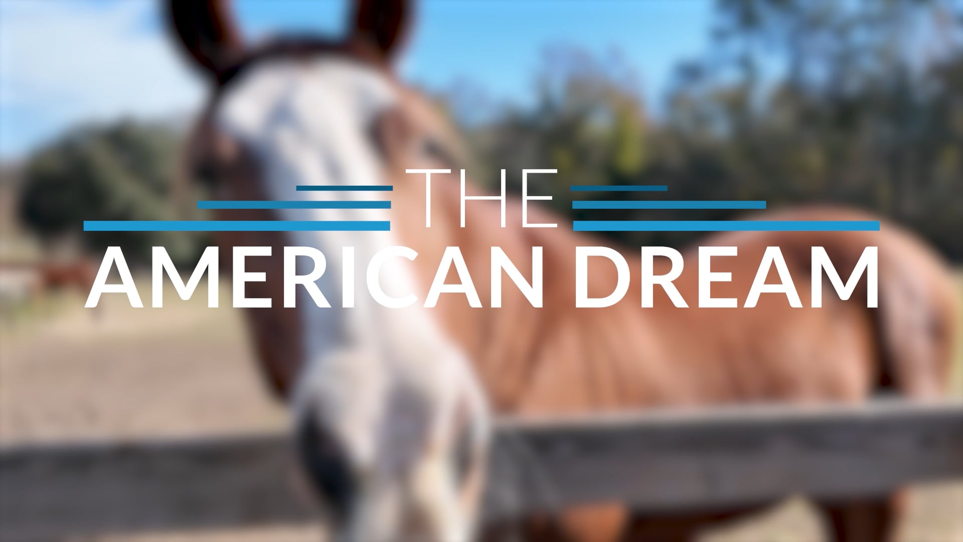 The American Dream TV: Florida