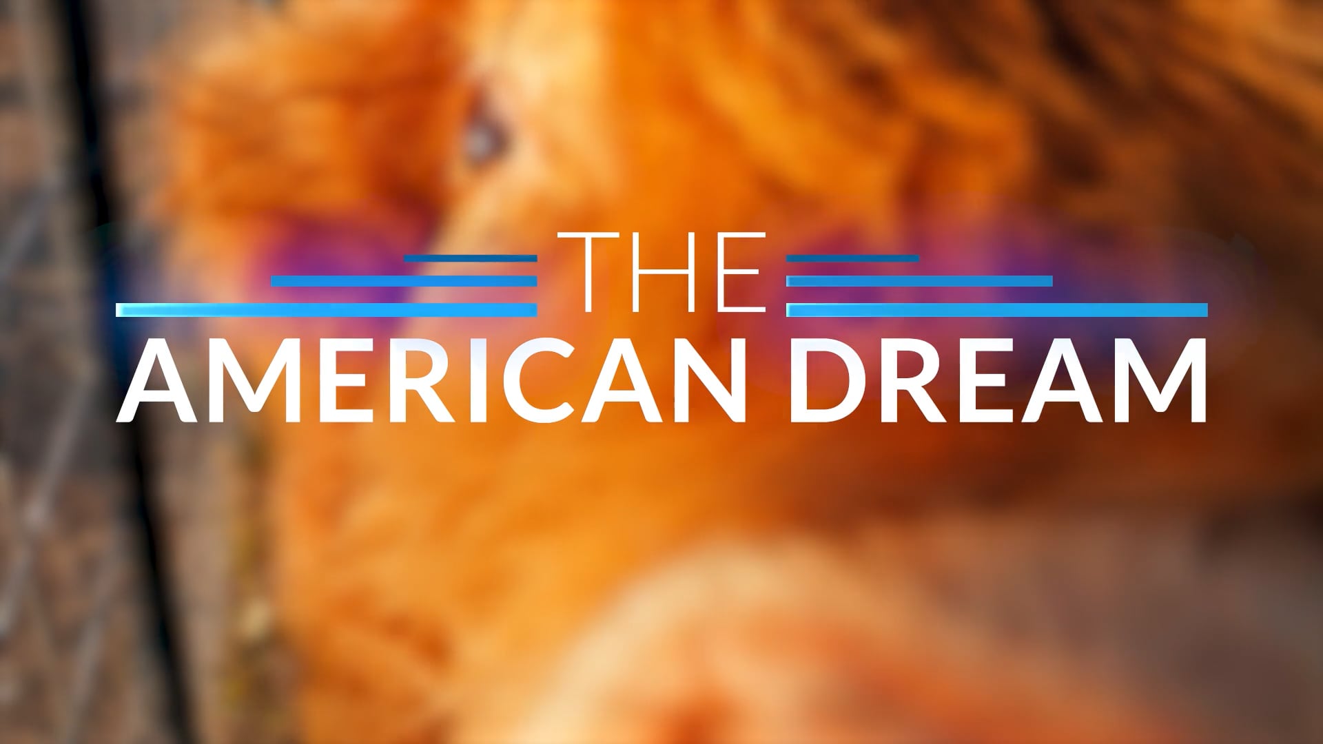 The American Dream TV: Best Of