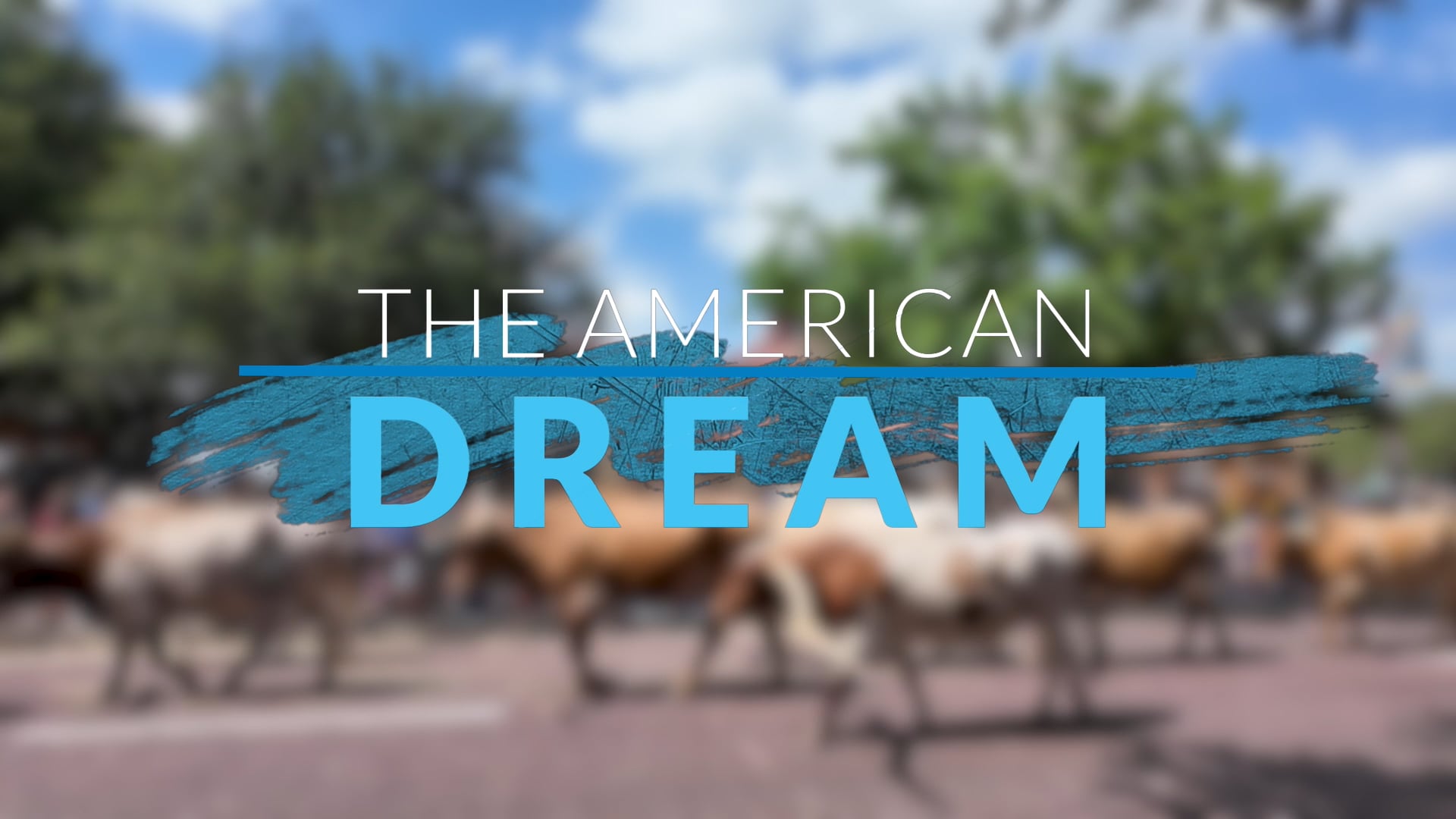  The American Dream TV: Texas