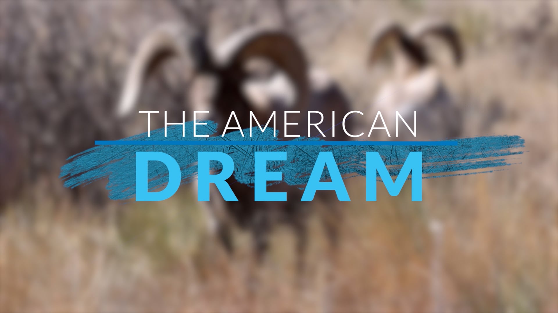 The American Dream TV: Colorado