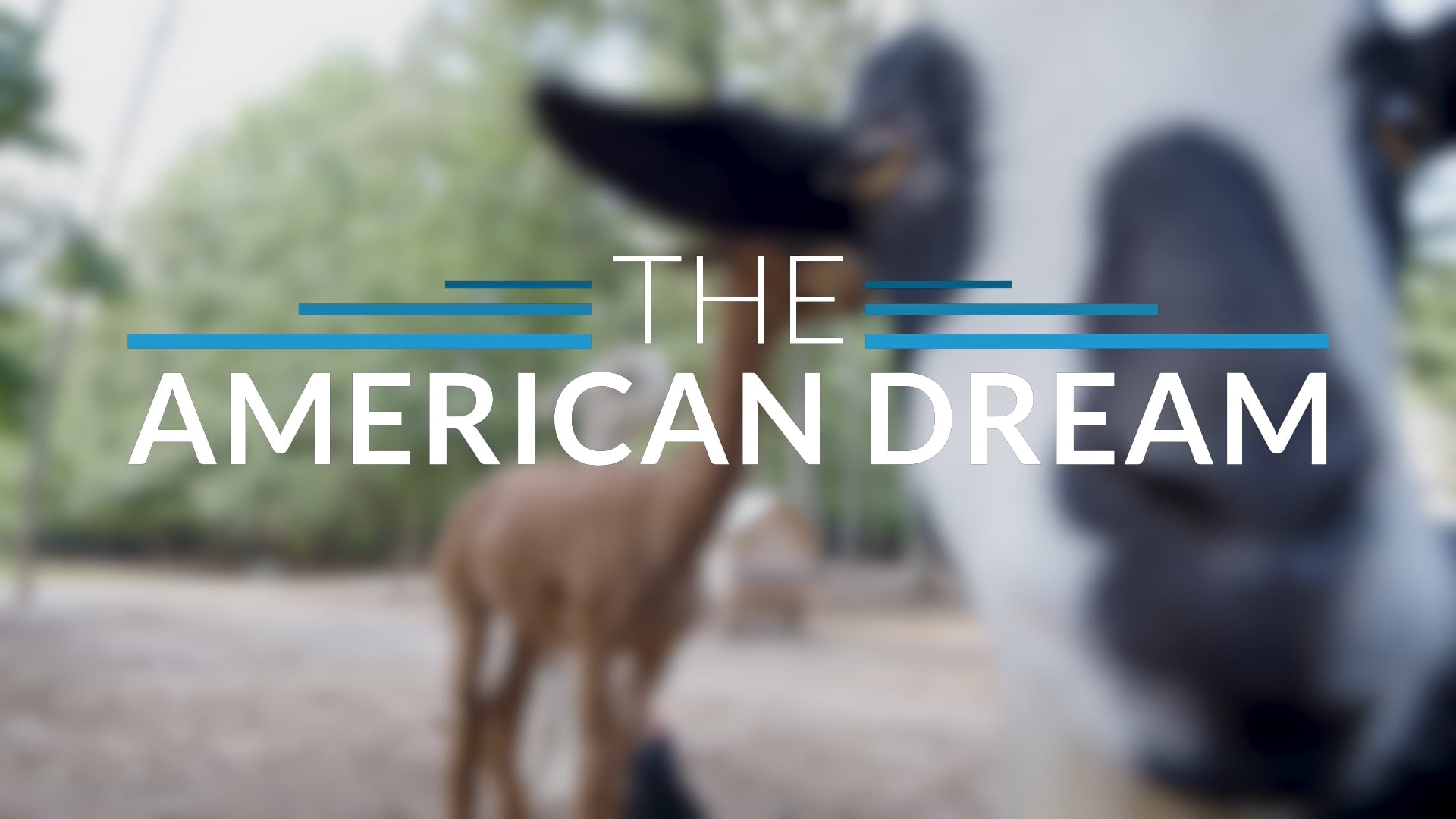 The American Dream TV: Georgia