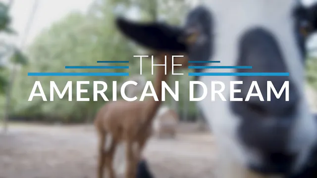The American Dream TV: Georgia