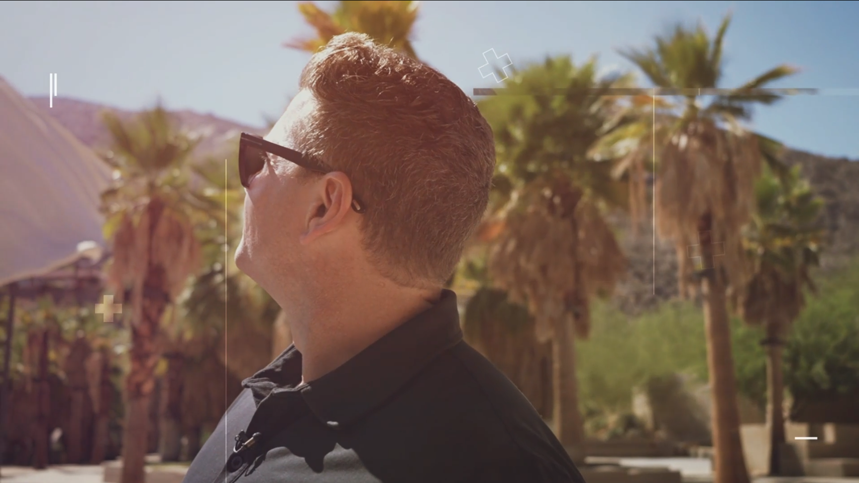 Introducing: Chasing Palms