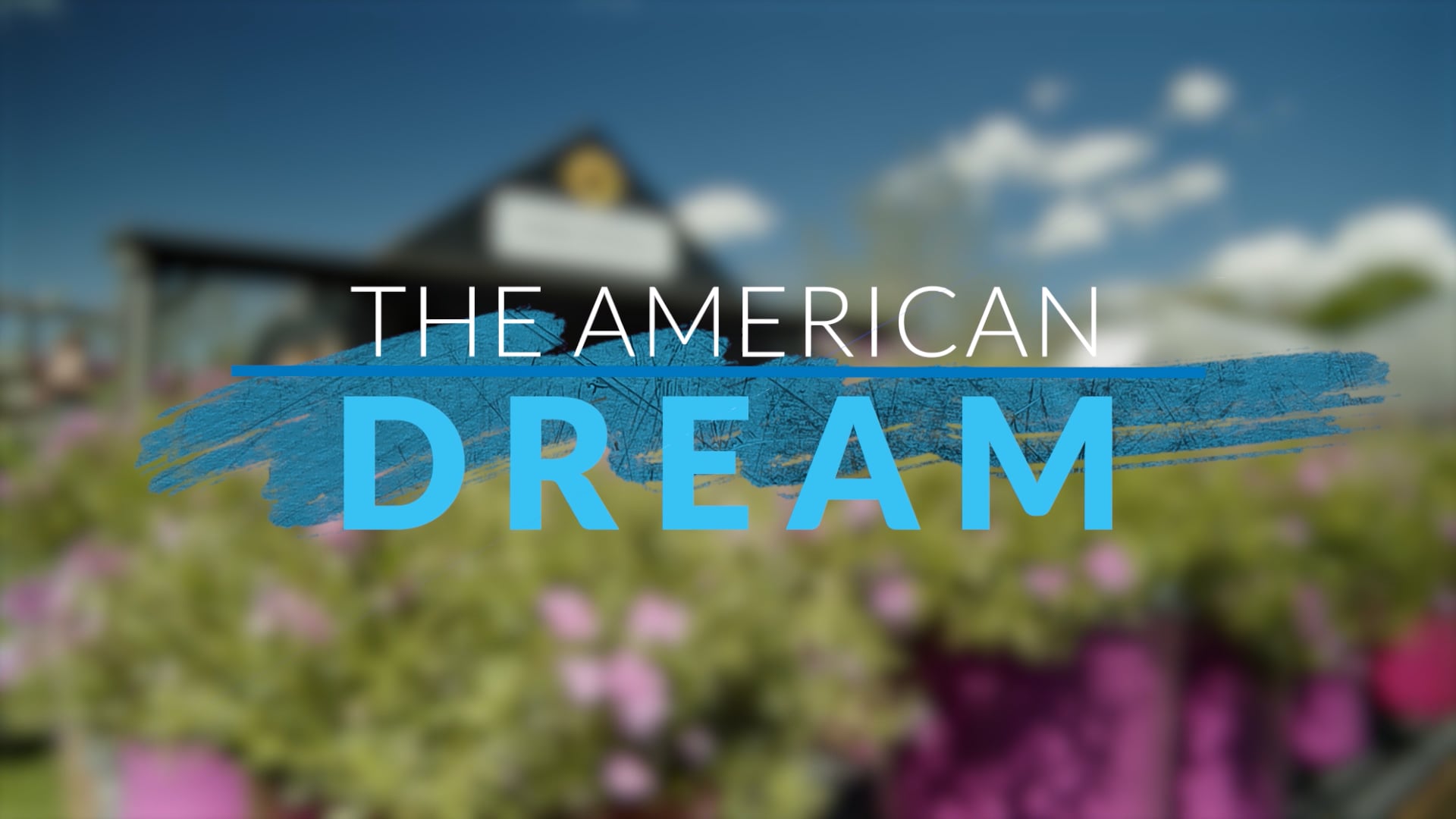  The American Dream TV: Long Island 